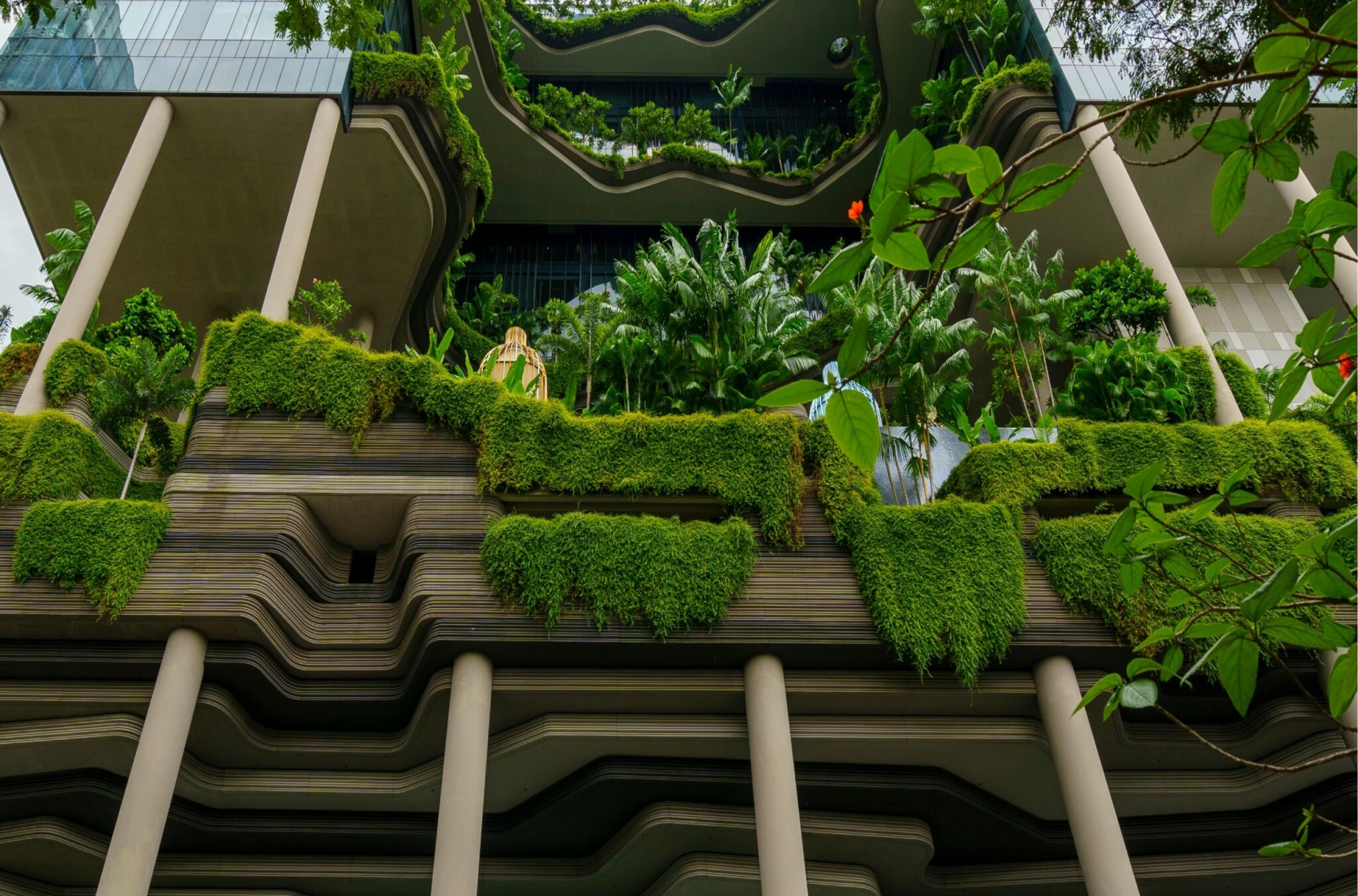 Empowering Leadership Through Net Zero+ Masterclass - NovAzure