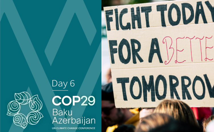 Highlights From Day 6 of Cop29