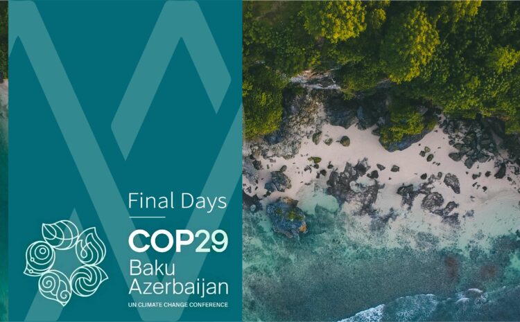 Final Days of Cop29