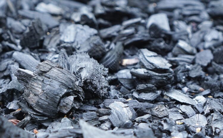 Biochar’s Breakout Moment: Why Corporates Must Act Now to Secure Permanent Carbon Removal
