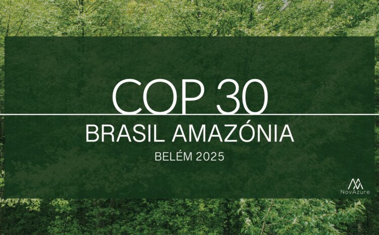 What to Expect at COP30: Building on COP29’s Climate Finance Deal and Unfinished Fossil Fuel Debate