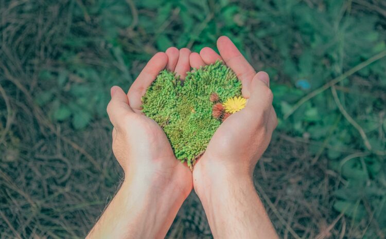 NovAzure Newsletter 19/11/2025